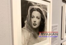 Mujeres que con sus inventos han cambiado nuestra vida Muestra en 2019 en el Museo Judío de Viena"Lady Bluetooth", que repasó la vida de la actriz e inventora Hedy Lamarr (1914-2000). EFE/ Hugo Barcia/Archivo