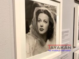 Muestra en 2019 en el Museo Judío de Viena"Lady Bluetooth", que repasó la vida de la actriz e inventora Hedy Lamarr (1914-2000). EFE/ Hugo Barcia/Archivo