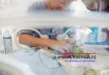 La voz materna reduce los signos de dolor en los bebés prematuros