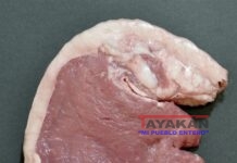 Asier Sanz gana World Humor Awards por caricaturizar a Trump con una chuleta