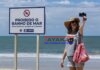 En las playas de Recife los turistas no huyen de los tiburones: los buscan