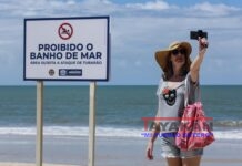 En las playas de Recife los turistas no huyen de los tiburones: los buscan