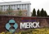 Merck anuncia que su pastilla de covid-19 reduce el riesgo de muerte en un 50 %