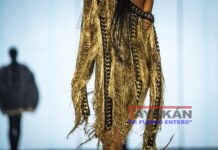 Flecos, fantasía en movimiento