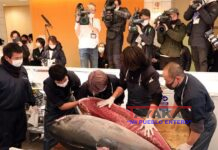 Atún Japonés x casi $145 mil