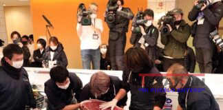 Atún Japonés x casi $145 mil