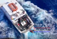 Hombre de 51 años mordido por tiburón