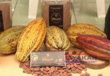 El Chocolate Tetonalli