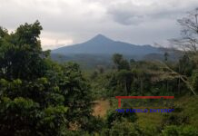 El volcán Sumaco, un universo de vida invisible aún por descifrar en Ecuador