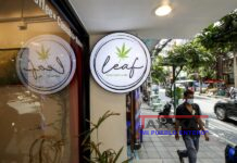 Tailandia prohíbe el consumo de cannabis en universidades tras legalizarlo
