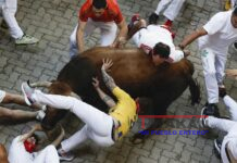 Locura Internacional