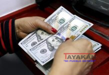 Fortaleza Dólar USA