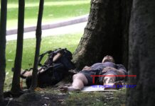 Ola de calor sigue generando tragedias en España y otros paises de UE