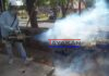 Ante incremento de casos de dengue Minsa realiza jornada de fumigación en León-Nicaragua