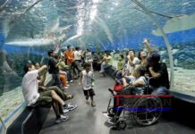 El mundo busca a para proteger la alta mar