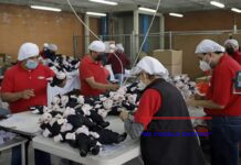 Peluche creado por personas con discpacidad anima conciertos mexicanos