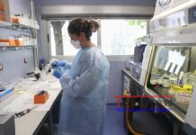 Colombia: Han comprobado 3.110 casos de viruela símica