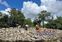 Hallan nuevas estructuras mayas en el sureste de México