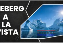 La punta del Iceberg