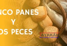 Cinco panes y dos peces