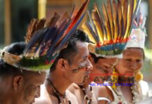 Piden saldar diferencia entre Estado y pueblos étnicos en cuidado de la Amazonía