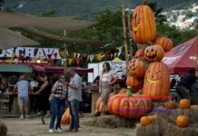 Festival de la tierra y la cosecha llega a la ciudad mexicana de Monterrey