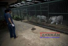 Principal zoológico de Nicaragua pasará a ser administrado por el Gobierno