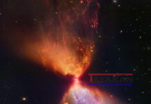 El Webb capta los inicios de una nueva estrella