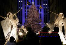 Árbol de Navidad del Rockefeller Center se encenderá el 30 de noviembre