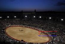 Se retira la iniciativa parlamentaria para abolir las corridas de toros en Francia