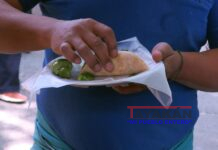 Recomiendan cambios en estilo de vida y alimentación en diabetes Fotografía de archivo que muestra a una persona con un plato de comida rápida en Ciudad de México (México). EFE/Mario Guzmán