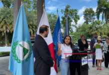 Vehículos Eléctricos Centroaméricanos