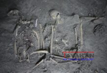 Teotihuacán y Élite Maya