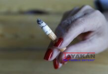 Estudio detalla cómo fumar y beber eleva el riesgo de cáncer de cuello y cabeza