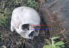 Tenía 5 meses de estar desaparecido y fue este domingo que encontraron su cráneo