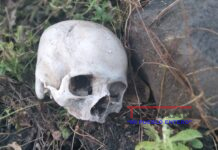 Tenía 5 meses de estar desaparecido y fue este domingo que encontraron su cráneo