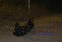 Francés que residía en el balneario de Poneloya en León, fue encontrado sin vida y en estado de descomposición