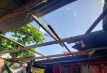 Viviendas sin techos, enfermedades respiratorias de la piel y de los ojos, primeras afectaciones por el fenómeno de las tolvaneras en León