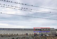 Expulsión Migratoria