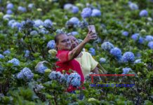 Las Mil Flores del Crucero