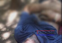 No identifican cadáver encontrado en León