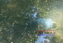 Dos muertes, decenas de rescates en playas de León en lo que fue Semana Santa