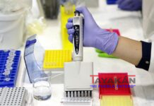 Un estudio reduce el tiempo entre el diagnóstico de cáncer de mama y embarazo