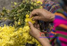 Comienza juicio contra militares de Guatemala por masacre de 25 indígenas en 1982