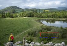 Más acceso a zonas verdes en las ciudades podría ralentizar el envejecimiento biológico