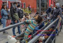 La mayoría de los migrantes en el norte de México no cuentan con documentos, según la OIM