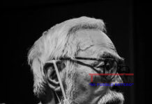 Nueva película de Miyazaki logra mejor estreno en Japón del Studio Ghibli