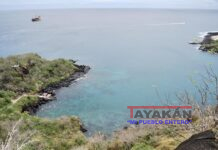Científicos y académicos trazarán hoja de ruta para “descarbonizar” las Islas Galápagos