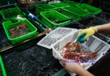 China suspende importación aquatica japonesa “por riesgo de contaminación”