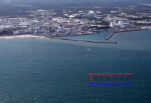 Japón defiende la “transparencia” del vertido de Fukushima